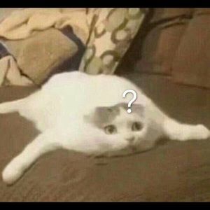 Meet your Posher, Irene